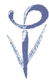 Blumenbinder