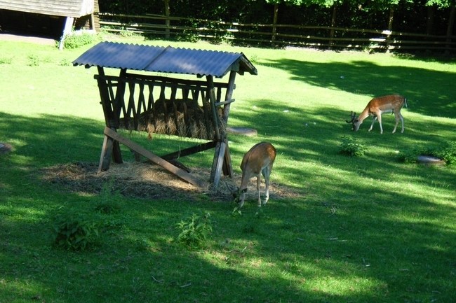 Futterstelle im Gehege