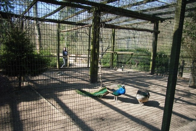 Vogelvoliere im Wildpark