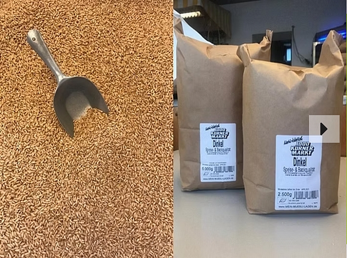 Mein Müsli Laden / Bioladen online