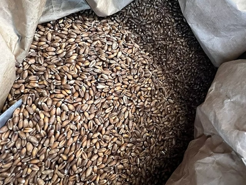 Mein Müsli Laden / Bioladen online