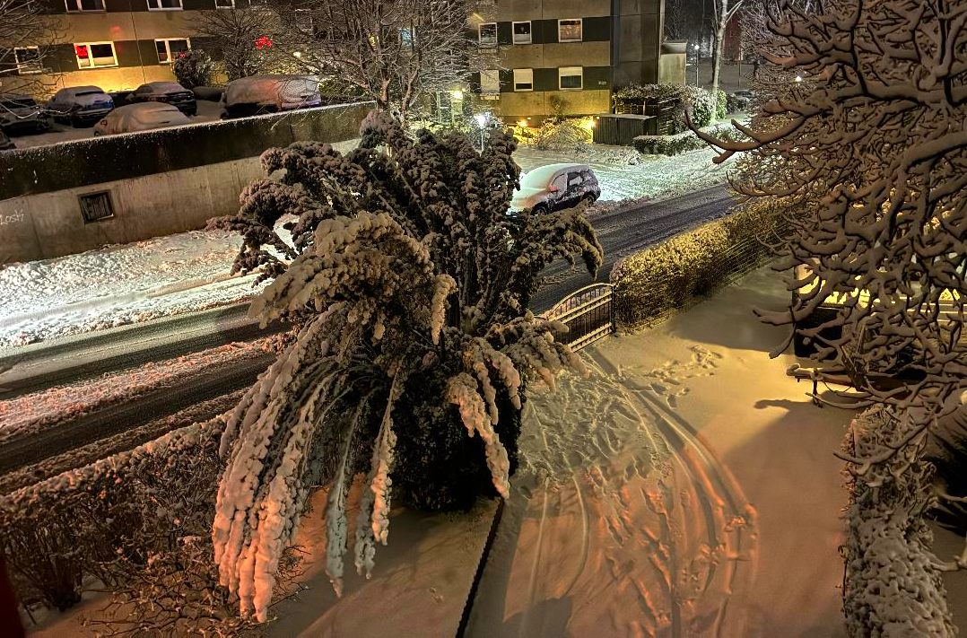 Winter 2026 in Schwentinental