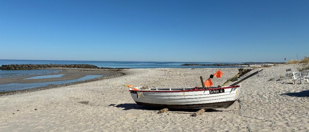 Magnolienblüte Raisdorf