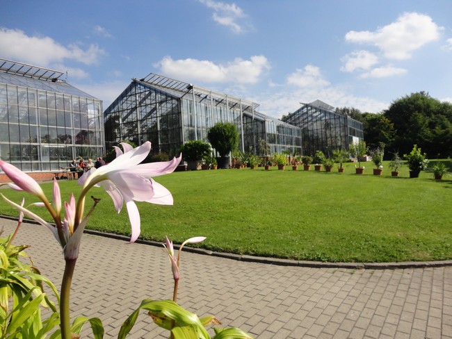 Schaugewächshäuser im Botanischen Garten