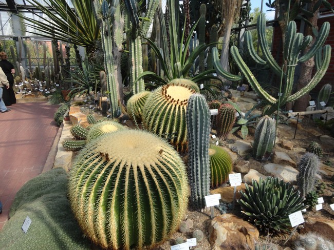 Botanischer Garten an der Uni in Kiel
