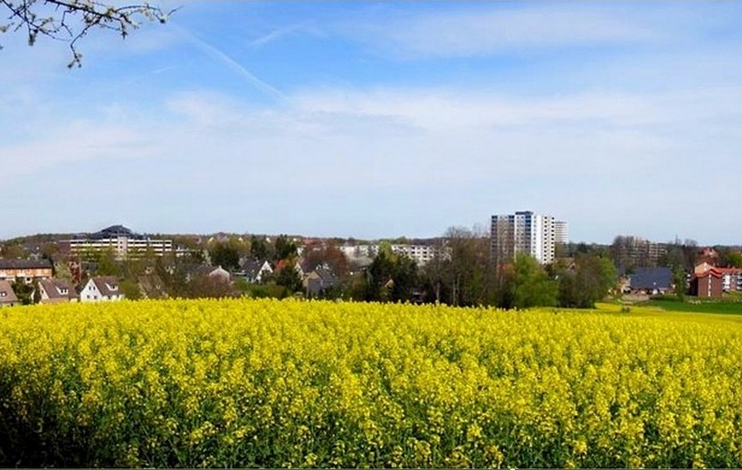 Blick au Raisdorf vom D-Berg