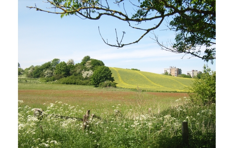 Frohnteiche D-Berg in Schwentinental OT Raisdorf