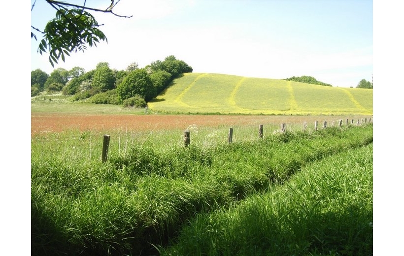 Verlauf der Pannau