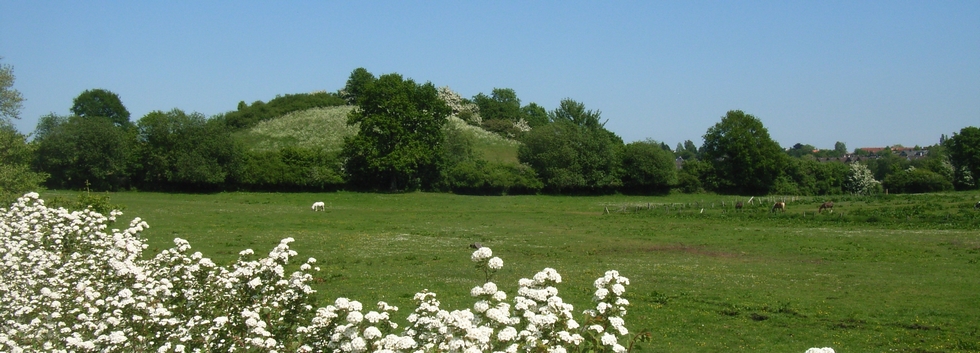 Deberg in Raisdorf Süd