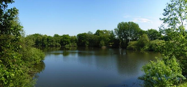 Heute Krötenteiche - damals Nutzung als Karpfenteich