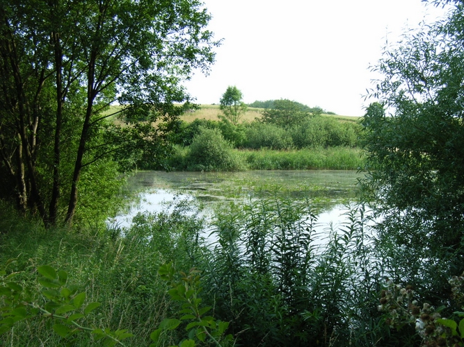 Die Pannau speist die Teiche.