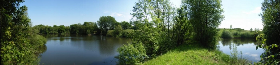 Panorama Krötenteiche in Raisdorf