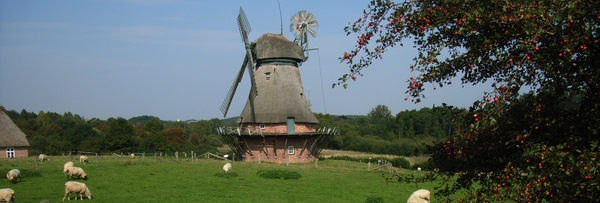 Freilichtmuseum in Molfsee