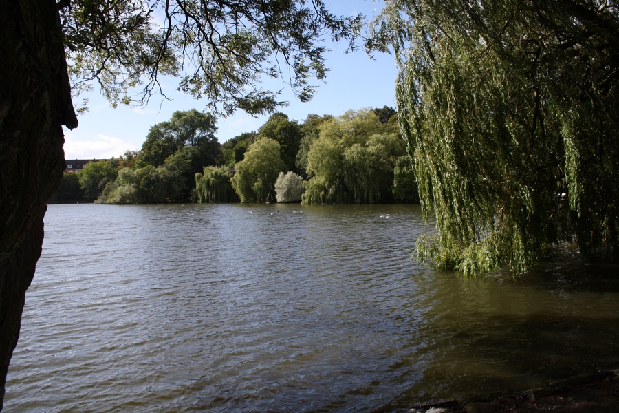 See im Schrevenpark Kiel
