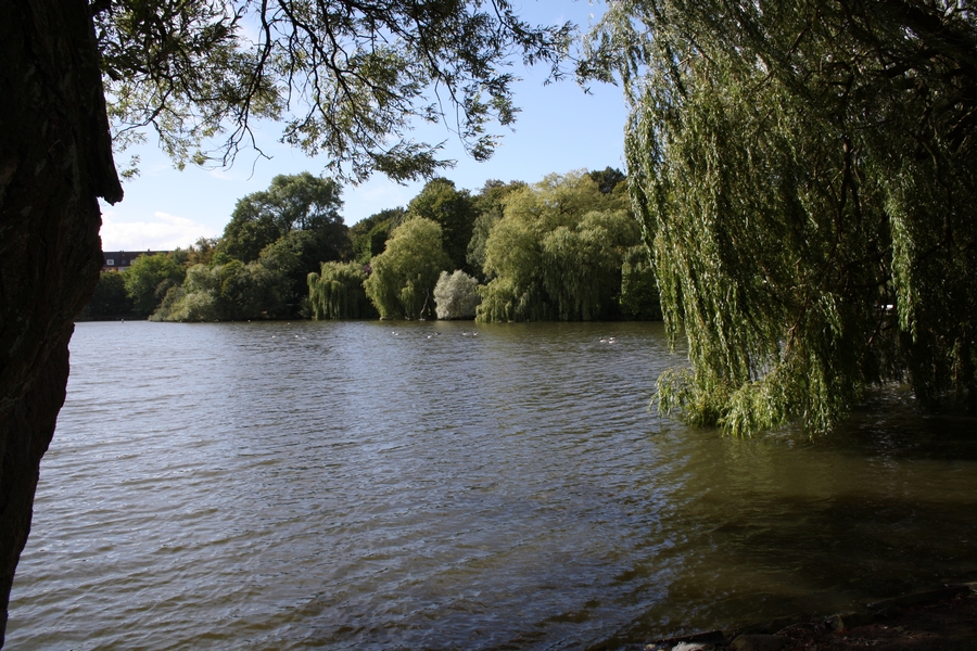 Turmhügelburg Lütjenburg