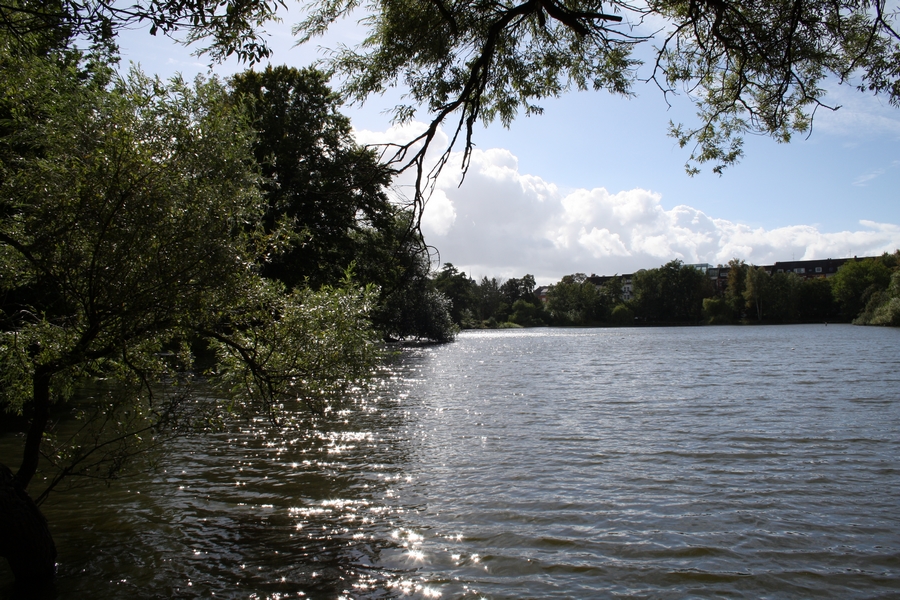Sommerabend im Park