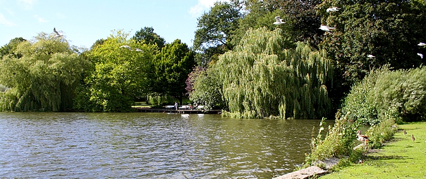 Erholung im Schrevenpark n Kiel