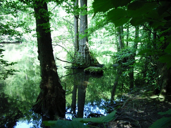 Naturerlebnis Schwentine